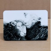 Jo McGrath Fridge Magnet FIELD MATES